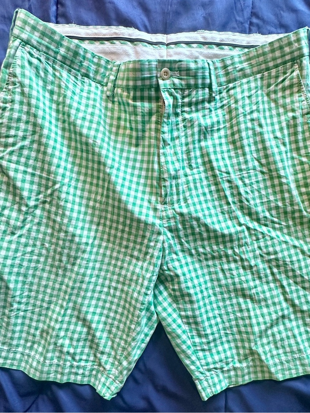 Polo by Ralph Lauren Green and White Gingham Men’s Shorts